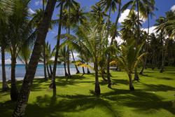 Truk - Chuuk lagoon scuba wreck diving holiday.